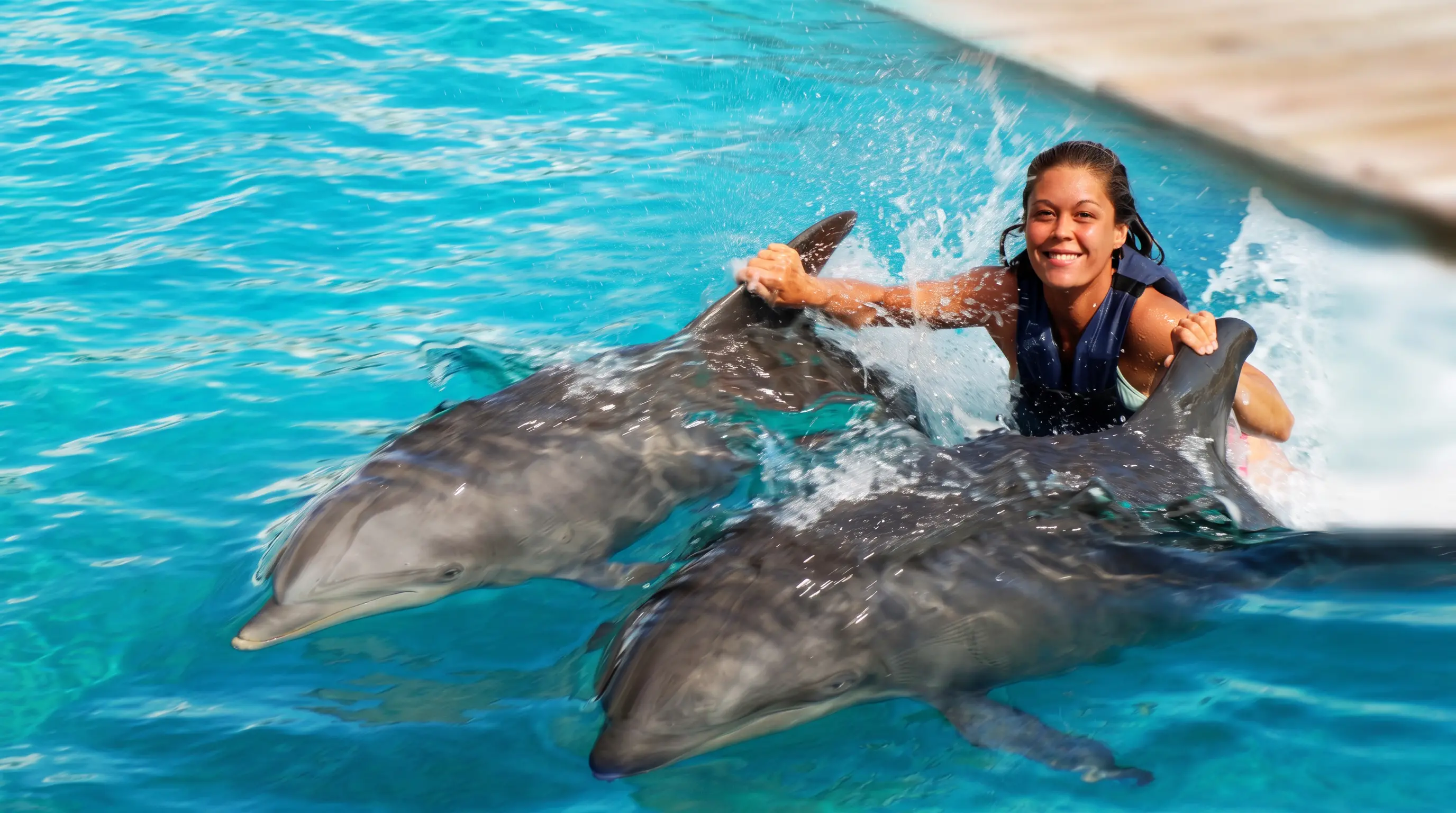 Dolphin Swimming
