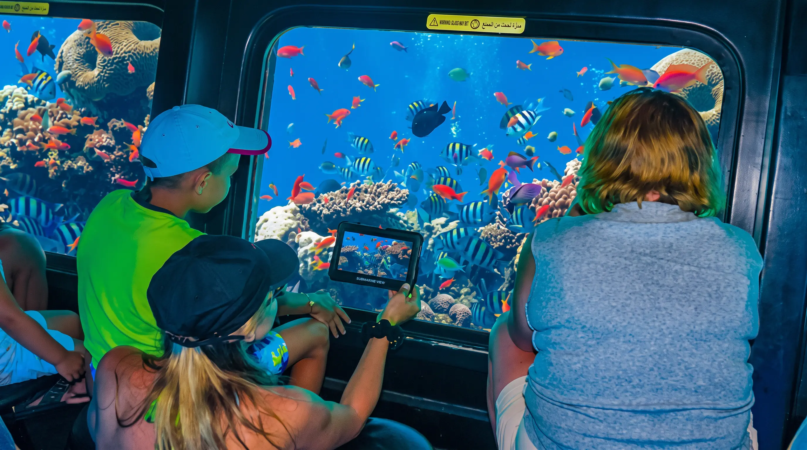 Submarine Trip