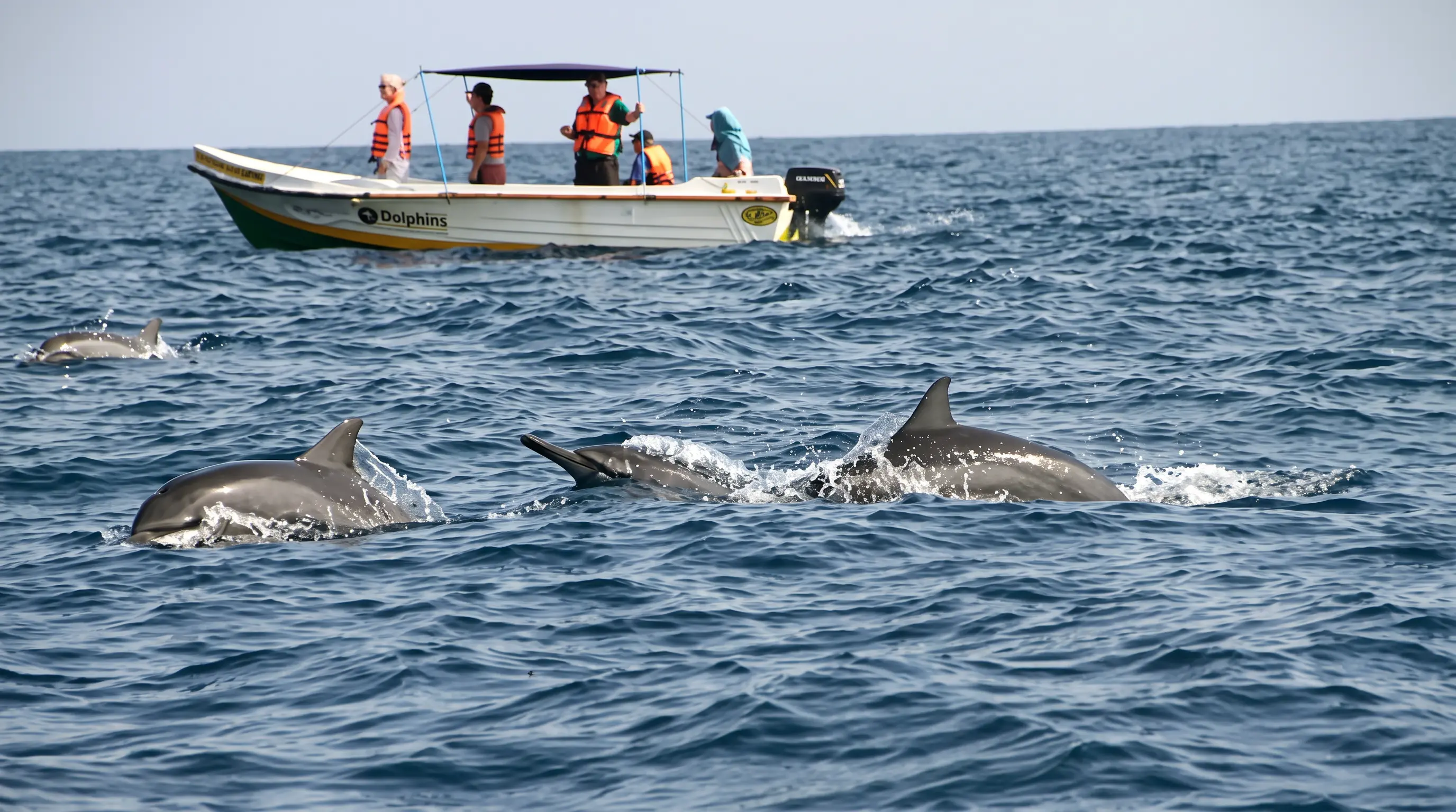 Speed Boat Trip