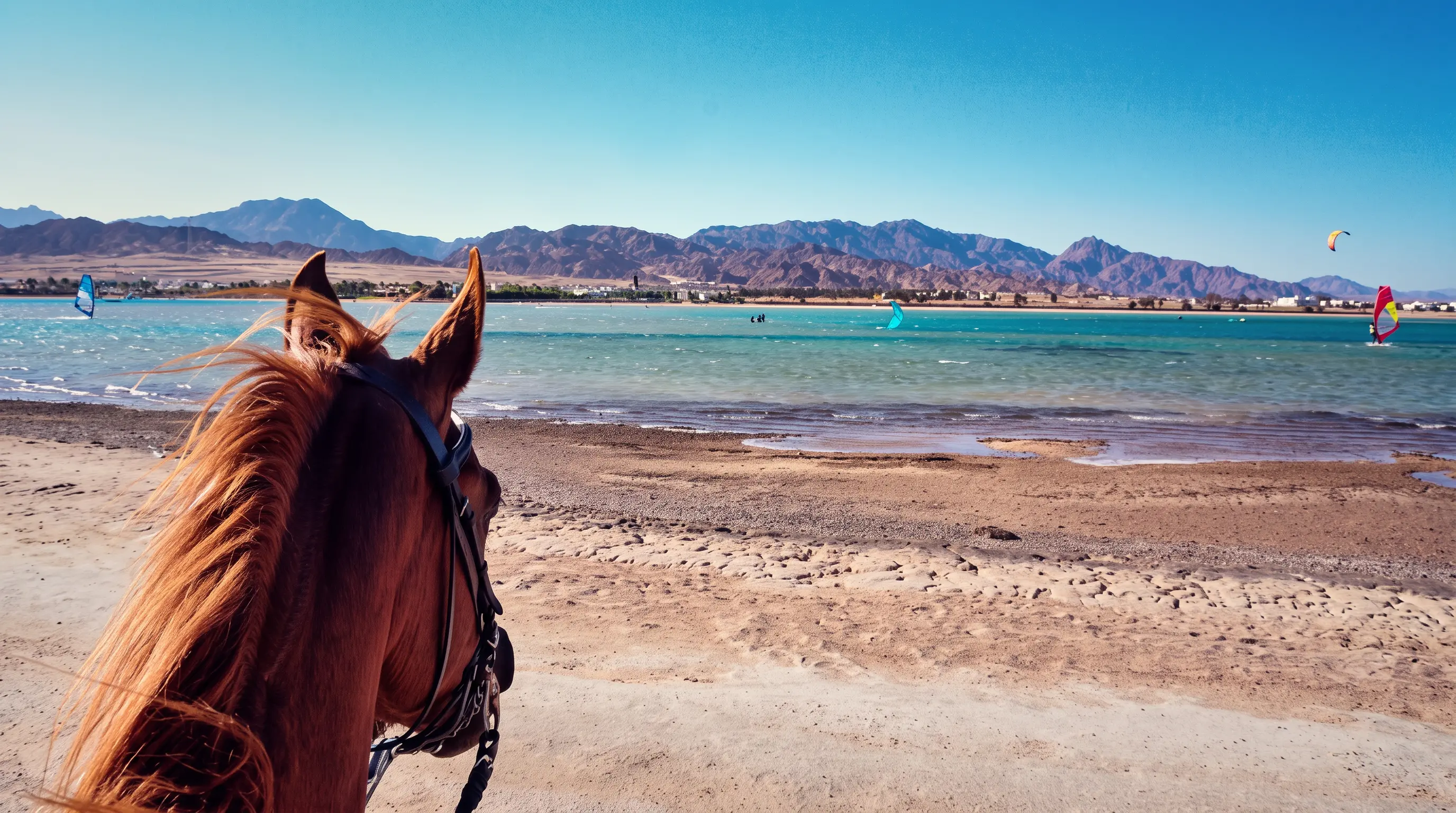 Horse Riding on the Beach