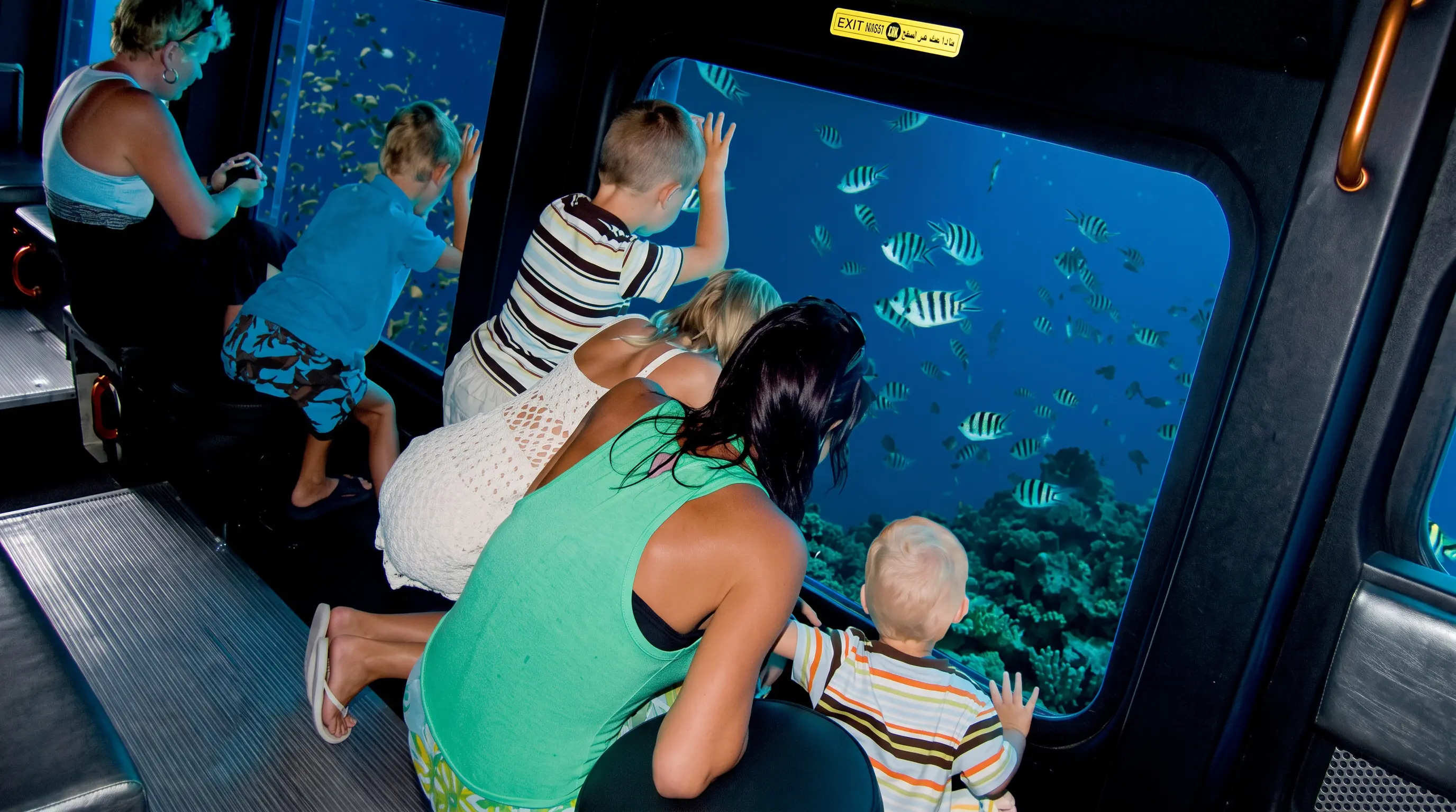 Submarine Trip