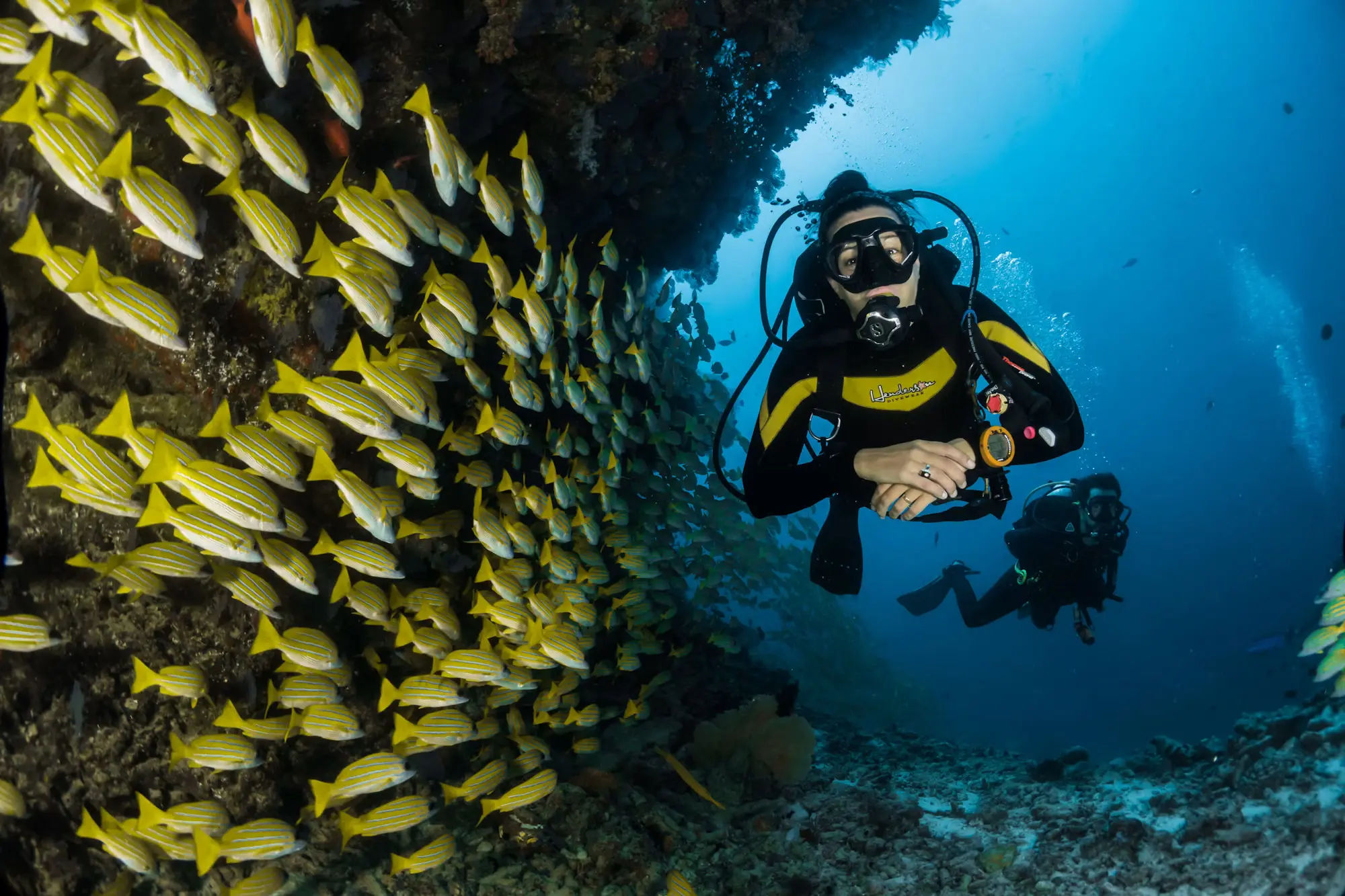 Discover the Magic Beneath the Red Sea