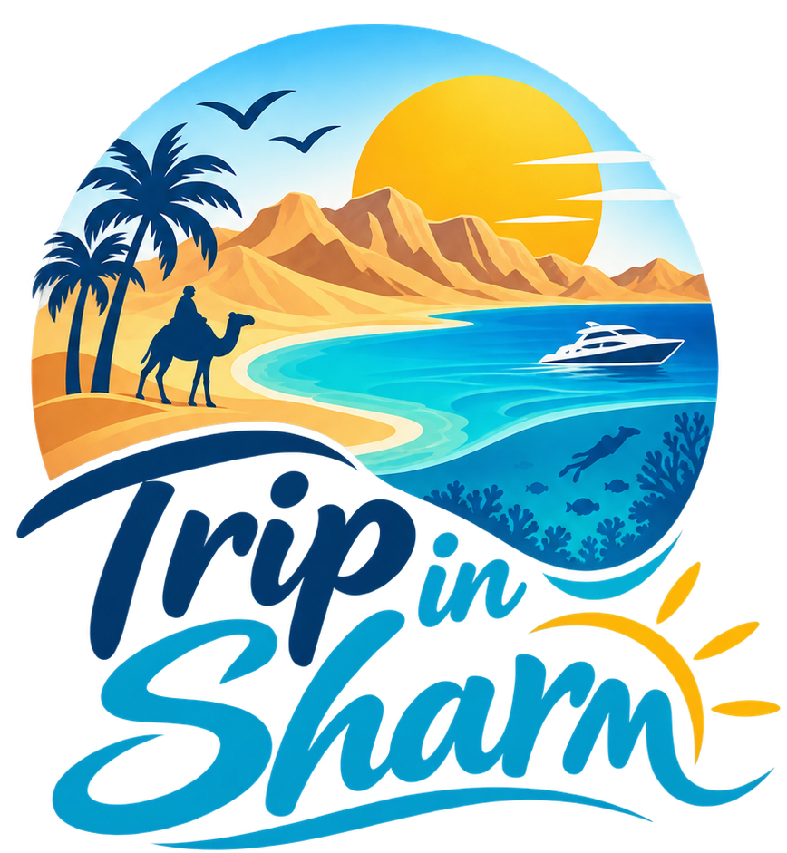 Trip In Sharm Logo